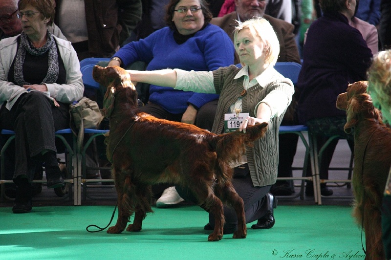 Crufts2011 664.jpg